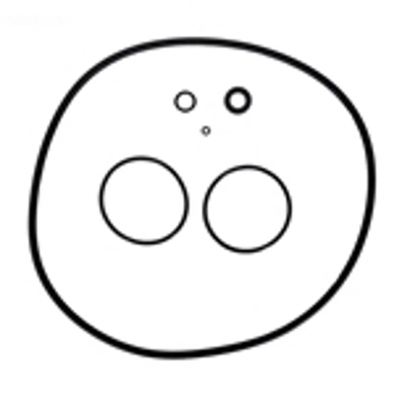 Zodiac-R0466300-CS100_150_200_250-O-Ring-Set-1