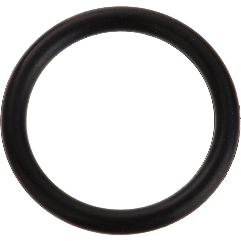 Zodiac-R0487100-Diverter-Valve-Shaft-O-Ring-1