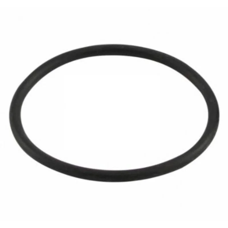 Zodiac-R0622000-SHP_FHP-Diffuser-O-Ring-1
