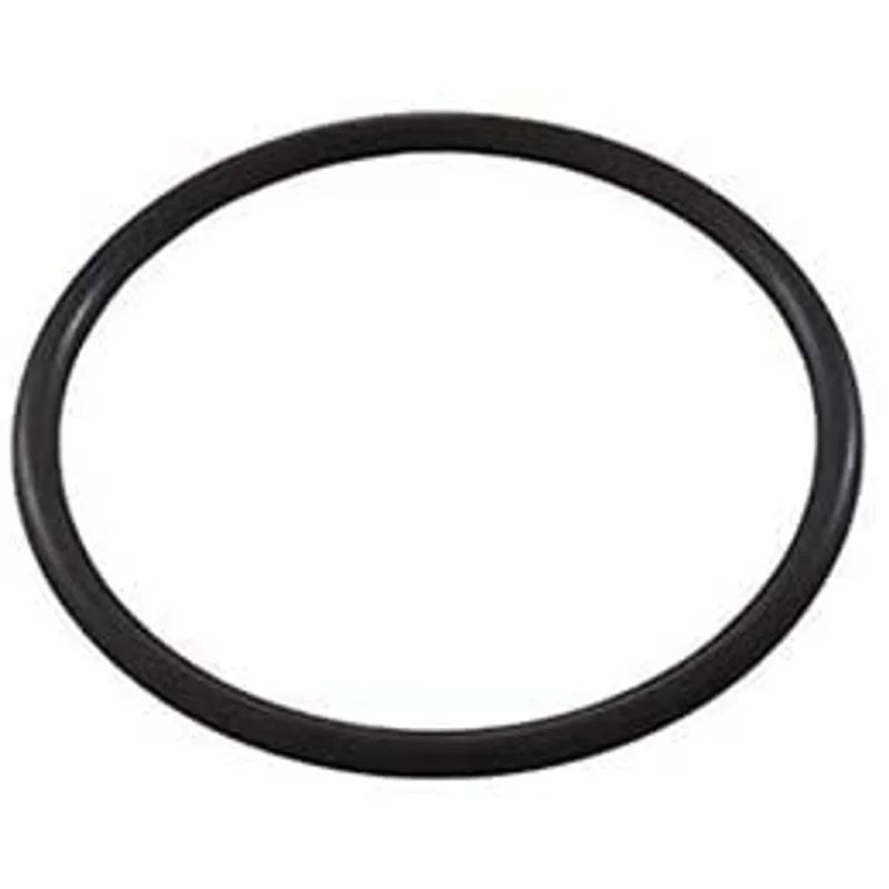 Zodiac-R0738500-Aquapure-EI-Main-O-Ring-1