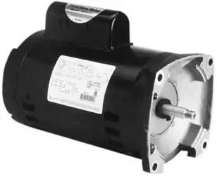 backyardcitypools-1018155