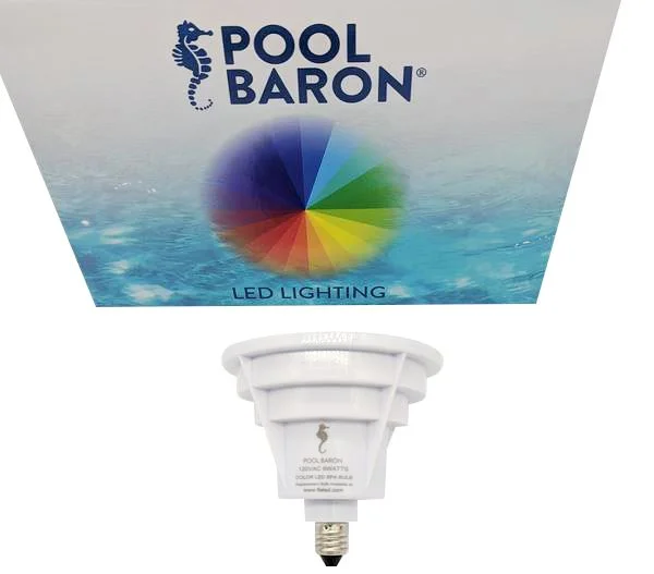florida-sunseeker981467