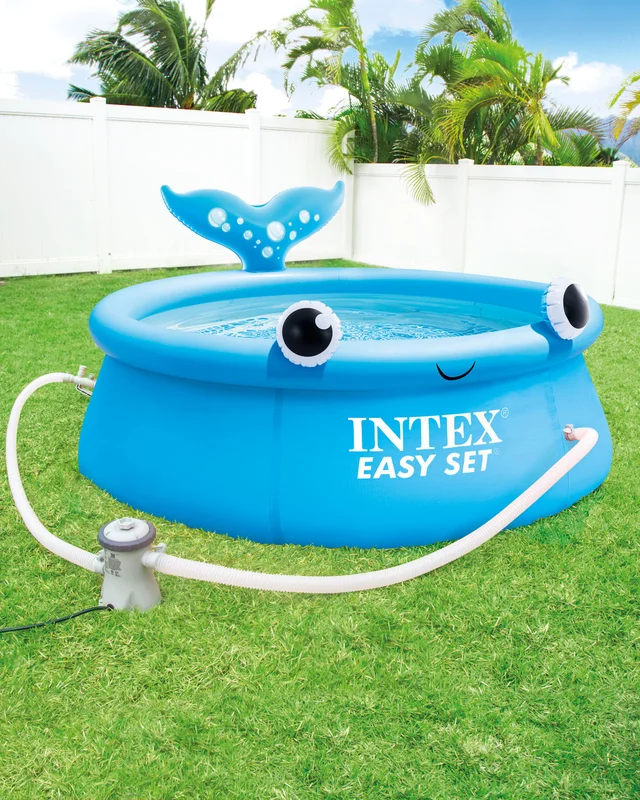 intexcorp-1021710