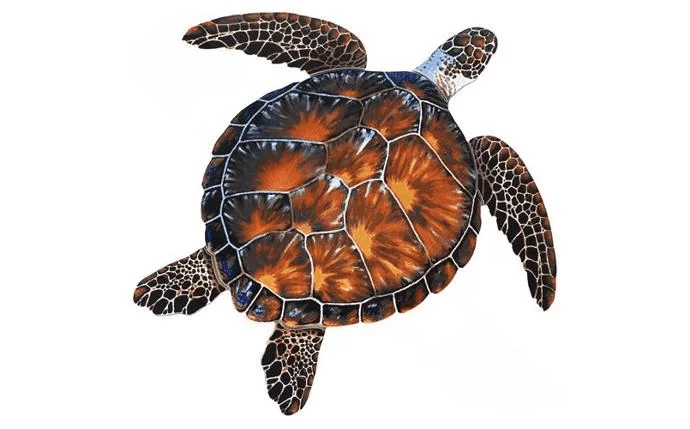 mavaquadoc962162