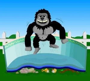 poolandspasupplystore-1021815