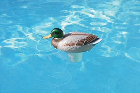 poolsupplies-1193351