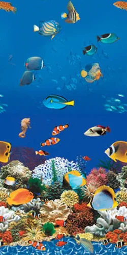 royalswimmingpools-1038944
