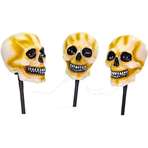 skeleton-img1-11